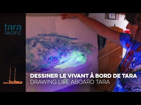 [Tara Pacific] Noémie Sauve : dessiner le vivant à bord de Tara // Drawing life aboard Tara