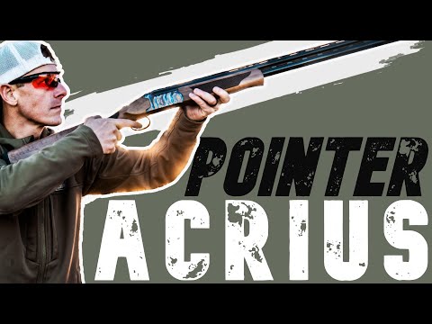 Pointer Acrius 20ga O/U Shotgun Review
