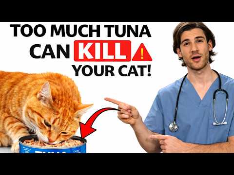 Too Much Tuna Can Kill Your Cat!