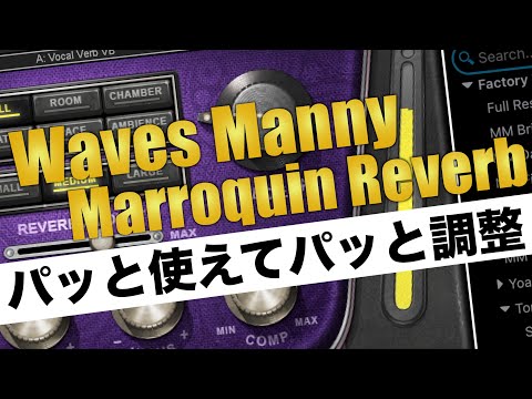 リバーブの難しさを解消！WAVES Manny Marroquin Reverbの魅力を解説します