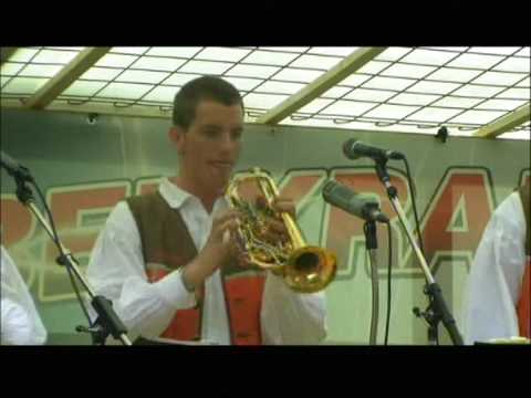 Goldene Oberkrainerklänge - Lechner Buam live