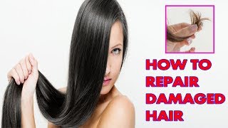 How To Repair Damaged Hair Fast At Home For Women And Men