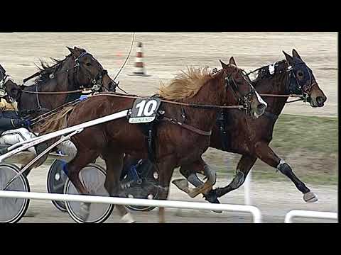 Napoli Trotto 13/01/2023 - 1ª corsa