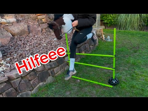 Wenn mein Hobby Horse sprechen könnte 😶