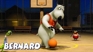 Bernard Bear  Basketball 3 AND MORE  Cartoons for 