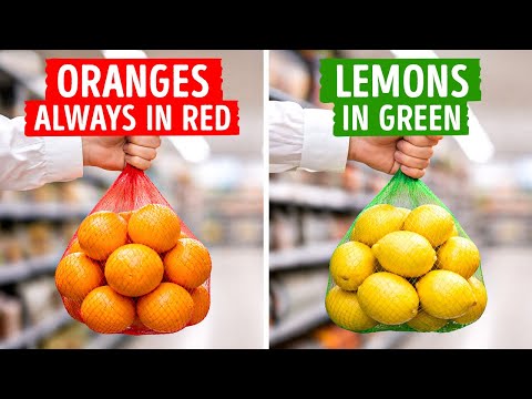 Why Everyday Objects Are Designed the Way They Are