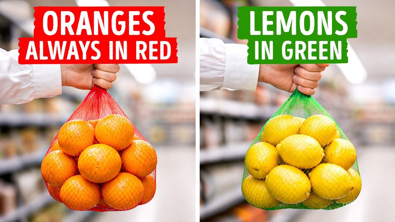 Why Everyday Objects Are Designed the Way They Are