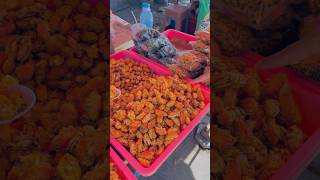 Download lagu Undur undur laut 🪲 mp3