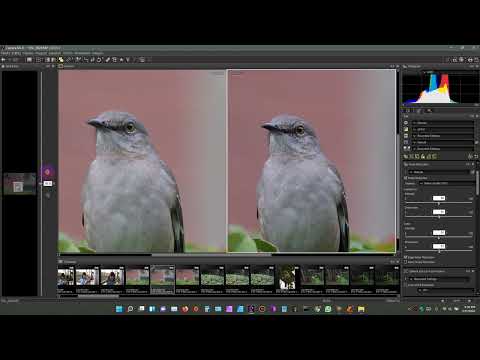 Capture Nx D Software