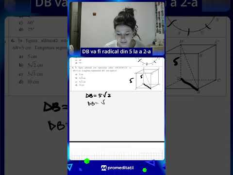 Lungimea segmentului | Evaluarea Națională Matematică