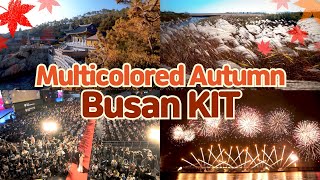 [Multicolored Autumn] Busan KIT의 이미지