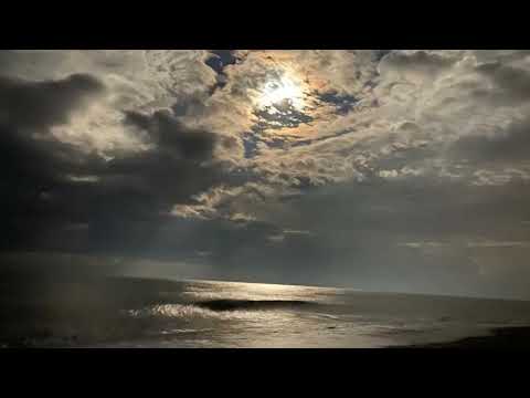 Korolova is playing Space Motion And Narah   DNA   Melodic Techno And Progressive House 2022