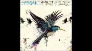 On islands - Camouflage