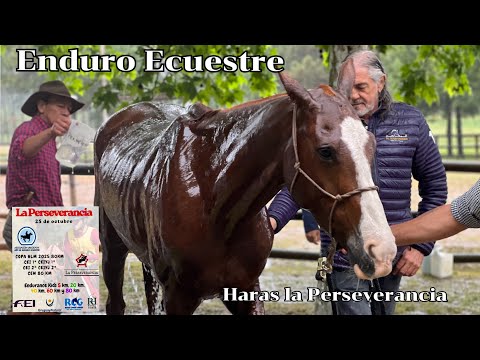Enduro Ecuestre - Haras la Perseverancia  Evento 88