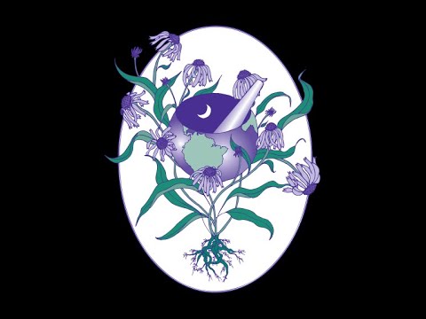 Conversation between Tish Streeten and Rosemary Gladstar on the making of Juliette of the Herbs.