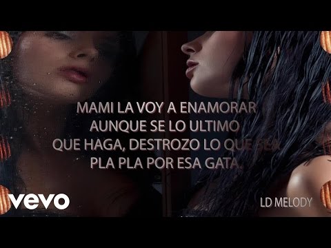 LDMelody - La Profesional (Video Lyrics)