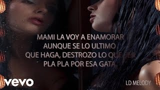 LDMelody - La Profesional (Video Lyrics) video