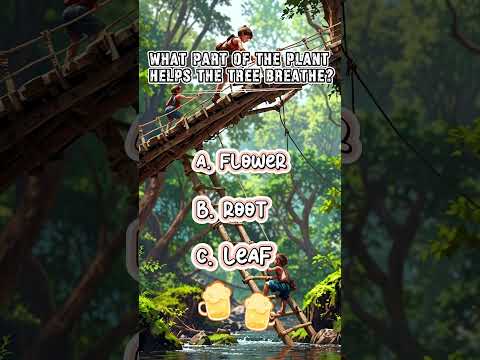 Quizz meme | No.102 #automobile #phonk #music #drift #roblox #quizze #cute #quiz