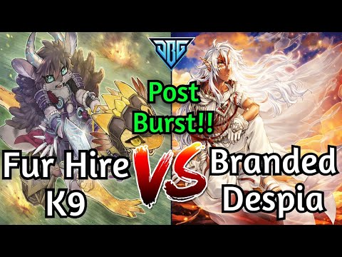 Fur Hire K9 Vs Branded Despia Post Burst Protocol Yu-Gi-Oh!