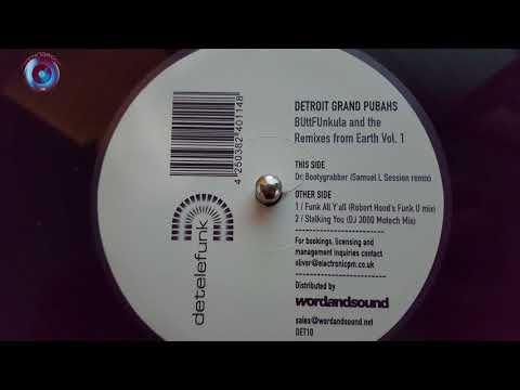 Detroit Grand Pubahs-Stalking You (Dj 3000 Motech Mix)