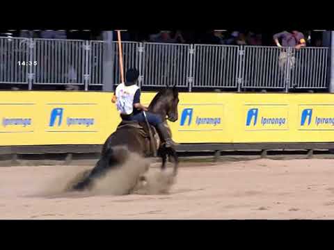 Final Freio de Ouro (RS) - 4º lugar fêmeas - Desavença dos Castanheiros (prova: Bayard/Sarmento)