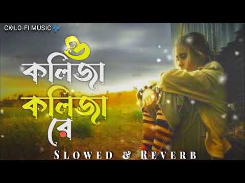 ও কলিজা কলিজা রে (Slowed &Reverb)O Kolija Kolija Re New Song | Bangala Tiktok Viral Song | Sad Song