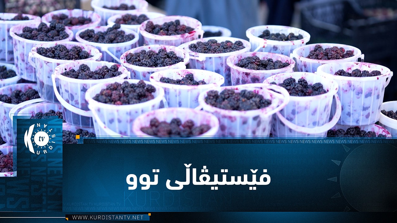 ڤیدیۆ | ریپۆرتاژ.. بەخێربێن بۆ فێستیڤاڵی توو لە شەقڵاوە
