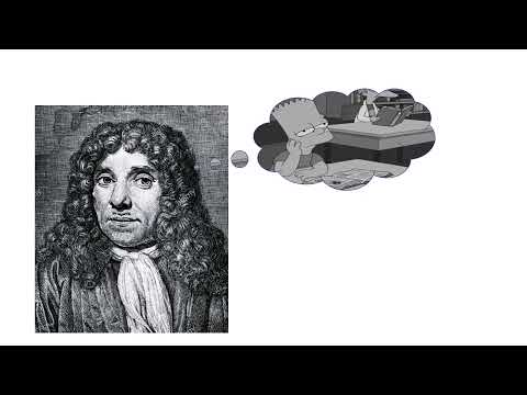 Une structure complexe : la cellule vivante