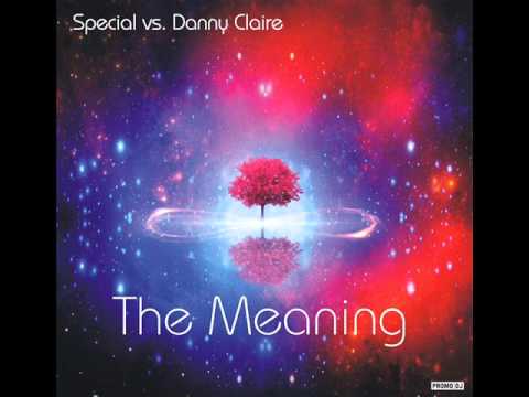 Special vs Danny Claire  - The Meaning (Extended Booty Mix) (promodj. com) Trance-Epocha