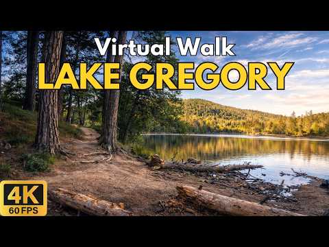 4K Virtual Treadmill Walk – Lake Gregory Trail, San Bernardino NF | Scenic 36-Min Lake Walk POV
