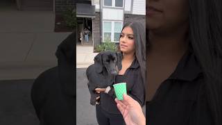 Blessing random dogs with free pup cups and treats #GivingBack #pawsitivity #kindness #community