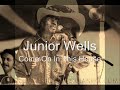 Junior Wells-Come On In This House