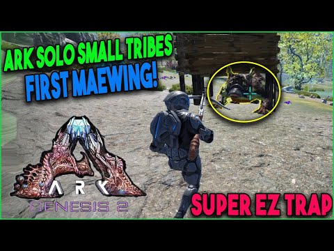 Taming My First Maewing On Ark Solo Small Tribes - Genesis 2