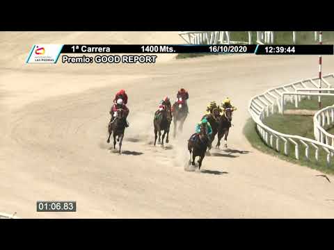 201016 c01  - ALOMEA 1° - HIPODROMO LAS PIEDRAS