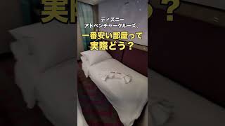 窓なしの部屋で3泊過ごした結果… #ディズニー #クルーズ船 #海外旅行