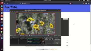 PeerTube Demo