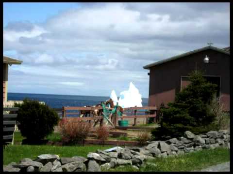 A Night in Dildo - Arrogant Worms