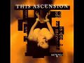 This Ascension - Love Lost Years