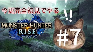 ［ライズ］　夜勤前にちょっとだけ