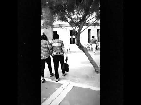 Lola Ana's New Home 03.15.2019