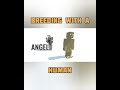 Making Jesus Hybridanimals