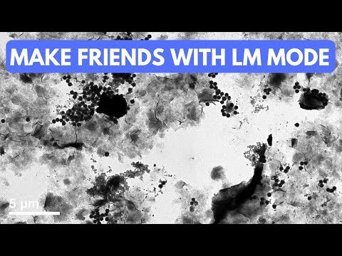 FEI Tecnai F20 S/TEM: using Low-Mag (LM) mode