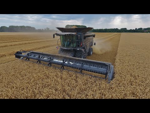 FENDT IDEAL 8 | FENDT 826, 724 | Wheat Harvest 2020 | Landtechnik Niedersachsen