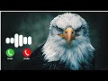 New Eagle Ringtone Attitude Ringtone