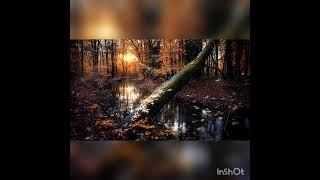 Salmo cap 138 (NTV) Crystal Lewis - Estoy bien.