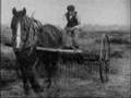 A Day in the Hayfields (1904) | BFI