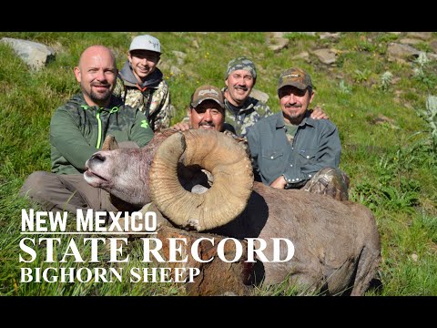, title : 'NM STATE RECORD BIGHORN SHEEP HUNT'