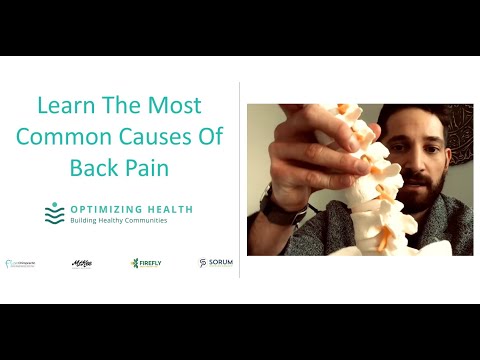 Clinical Insight | The In's and Out's of Back Pain | Dr. Zach McKee