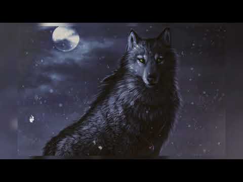 𝐀 𝐩𝐫𝐨𝐦𝐢𝐬𝐞 𝐭𝐡𝐚𝐭 𝐈’𝐥𝐥 𝐤𝐞𝐞𝐩 ~ 𝐖𝐨𝐥𝐟𝐛𝐥𝐨𝐨𝐝 [𝐬𝐥𝐨𝐰𝐞𝐝 𝐝𝐨𝐰𝐧]