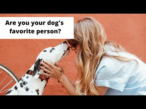 YouTube video about: Why does my mom love my dog more than me?
